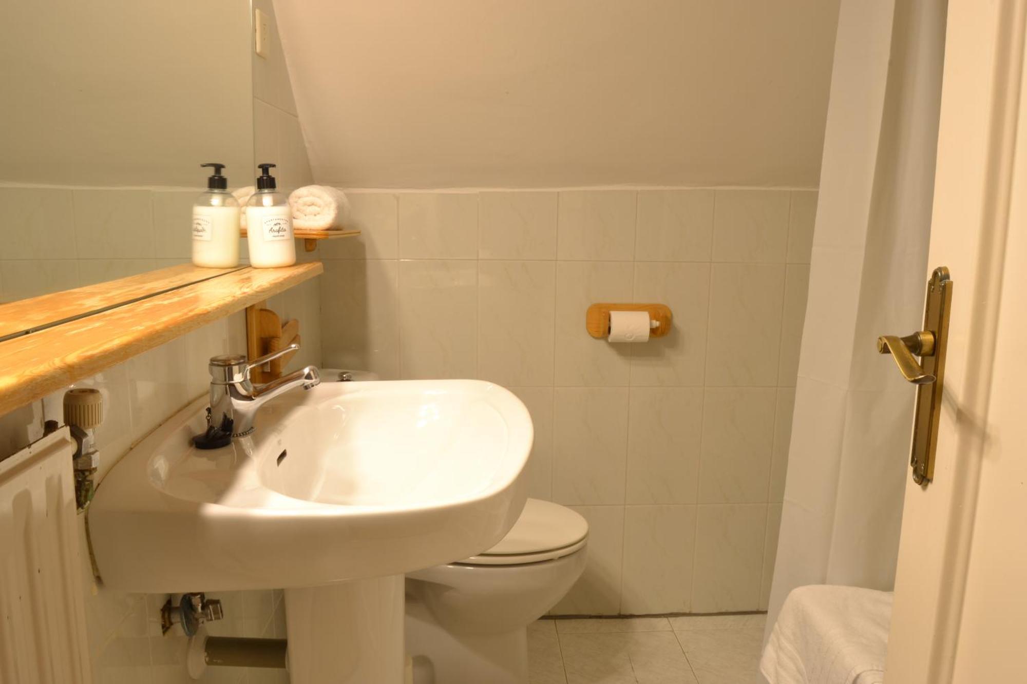 Balaitus Petfriendly - Arafita Apartamentos Sallent de Gállego Εξωτερικό φωτογραφία